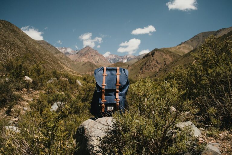The Best Hiking Gear for Your Next Trail Adventure
